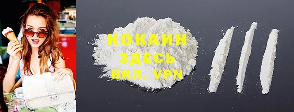 шишки Абаза