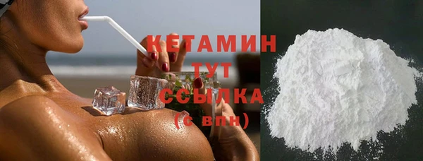 шишки Абаза