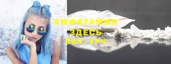 шишки Абаза