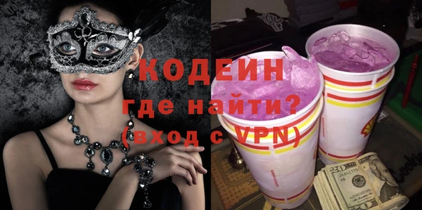 шишки Абаза